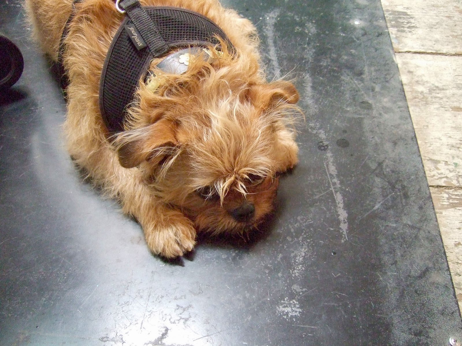 Haircut In Downtown 06